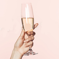 The Wine & Champagne Cellar